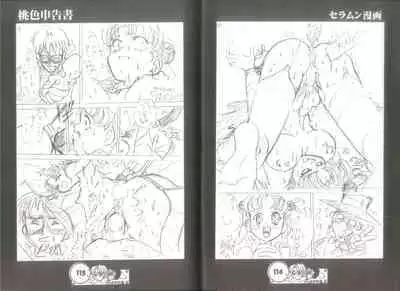 桃色申告書 ver.MILLENNIUM FALCON