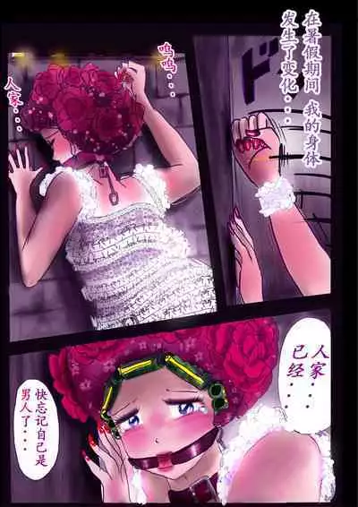 Kyousei Jyosou Hyaku Monogatari TS.MIRV