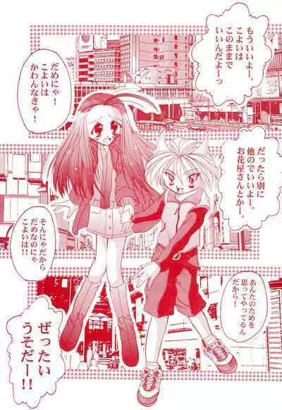 Get Sweet ”A” Low Phone Anna Mirrors ORIGINAL STORY