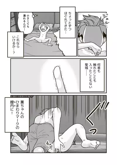 Himitsu no Himawari Mark