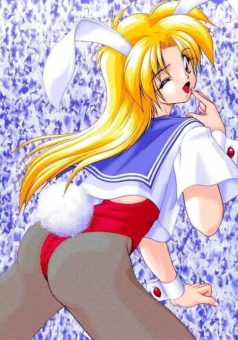 Sailor Bunny Gashuu Sono Ichi