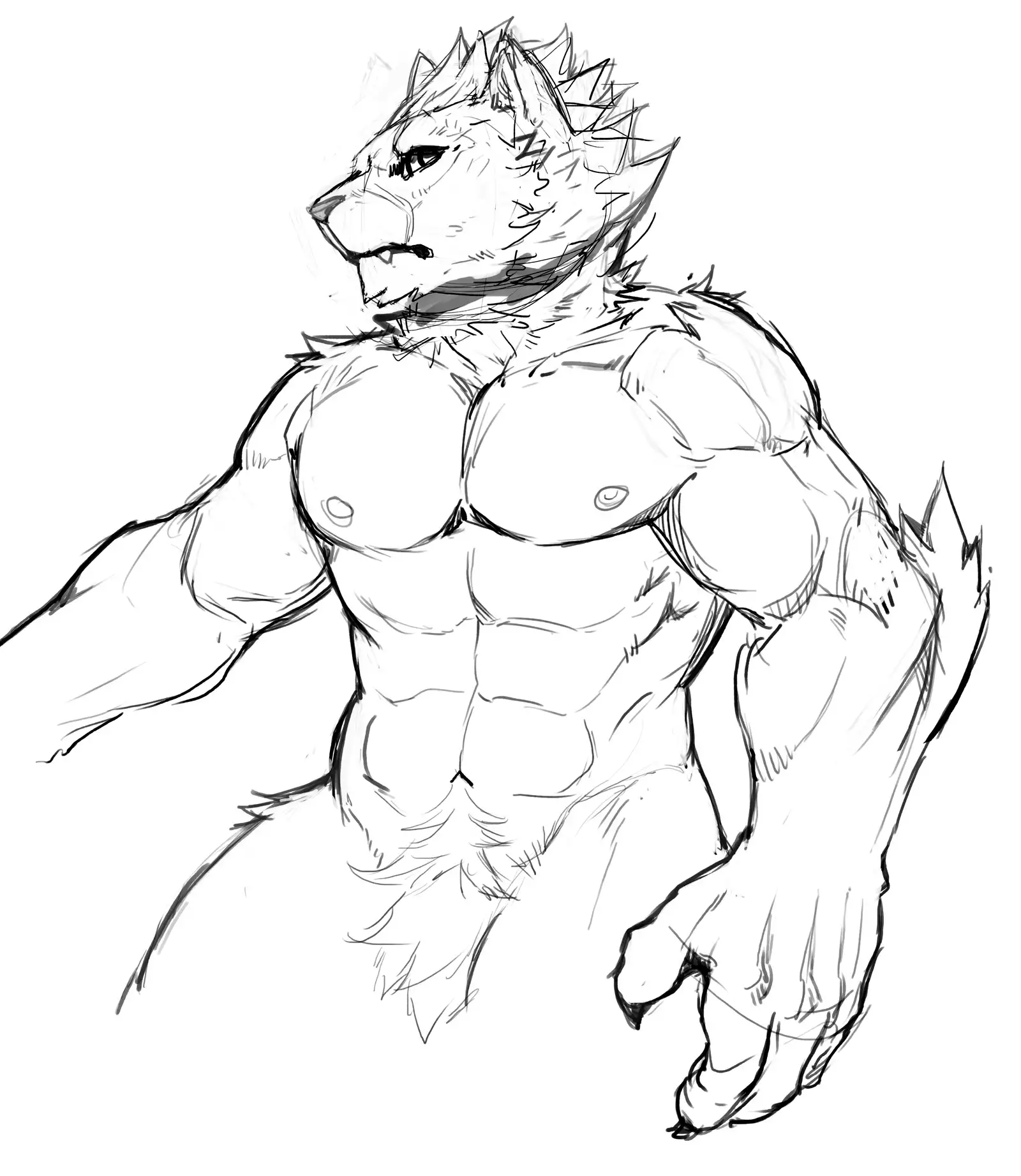 Nekojishi February 2018 Package Reward