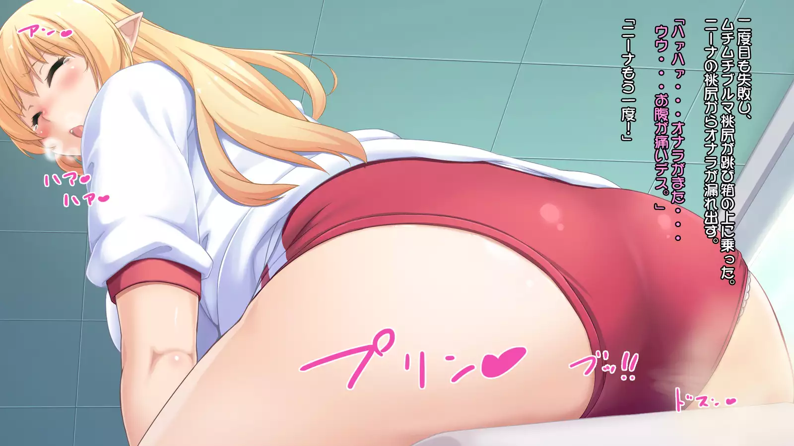 Junshin na Elf no Ryuugakusei ni Anal Choukyo shiyo！