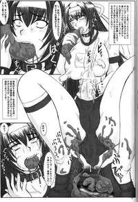 (C68) [Nozarashi (Nozarashi Satoru)] Tatakae! Kyouhime-sama!!