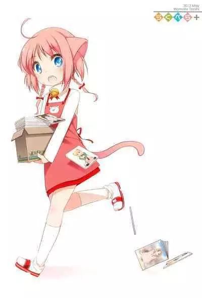 Raku Pera+ 2013-2014