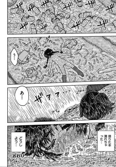 [Haku] Bishoujo Koushuu Nikubenki