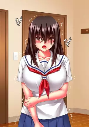 Hikaeme Jimime na Imouto to Nettori Gattsuri Love Love Ecchi