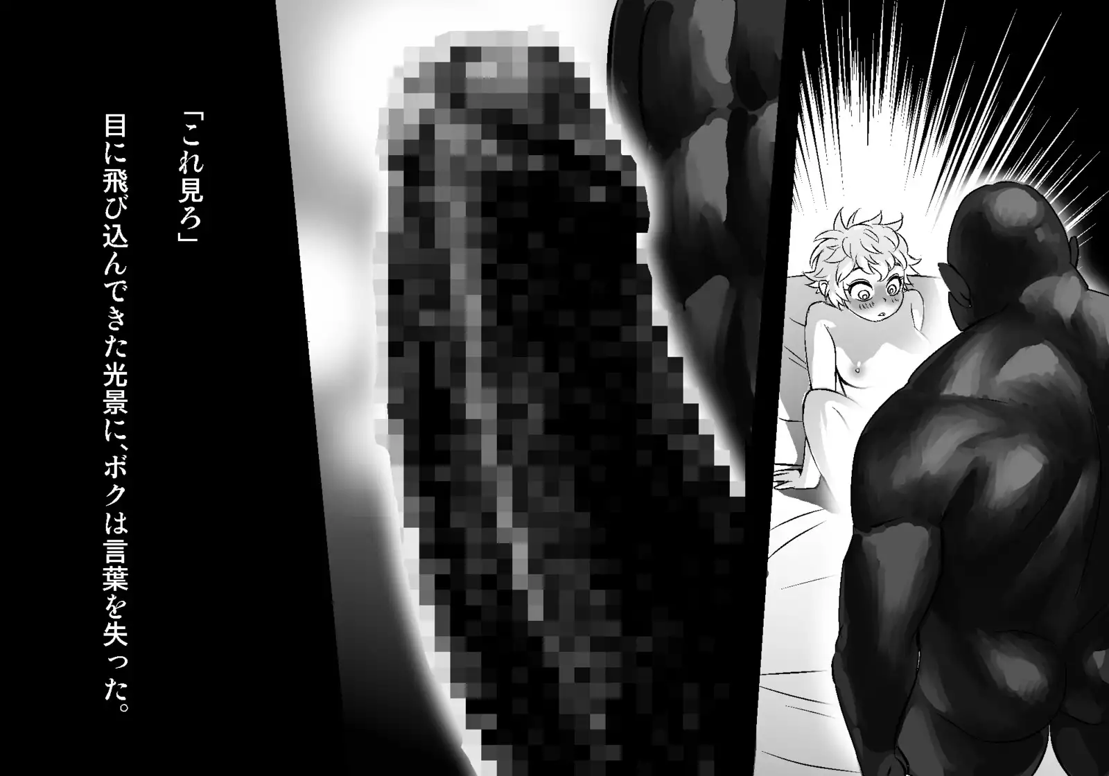 フェアリーセティ