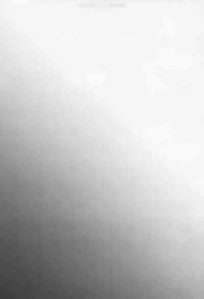 Last Envy Last Night