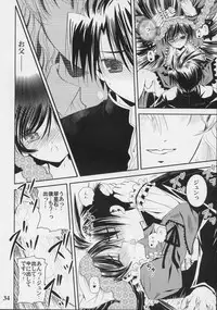 (C70) [Quarter View (Jin’nojyou, Kuroboshi Kouhaku)] A solitude nocturne (Rozen Maiden)