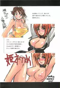 (SC34) [Dennou Denpa Hatsureisho (Harukaze Koucha)] Itsumono. Zouryou (Various)