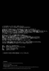 (C93) [NANIMOSHINAI (Sasamori Tomoe)] Succubus Stayed Life 7