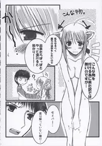 (SC24) [TAROTS (Sawano Akira)] THE MOON (Fate/stay night)