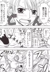 (C78) [Mikenekodou (Muten)] INSTINCT WORLD (One Piece)