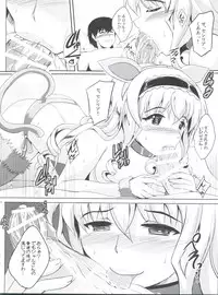 (C85) [Shouchuu MAC (Hozumi Kenji)] Poodle & Bunny Time (IS <Infinite Stratos>)