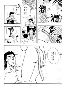 [Chirigami Goya, Fusuma Goten (Shoji Hariko, Kuri)] Wakayo (Dragon Ball GT)