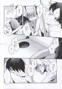 (CCOsaka84) [Yinghua (sinba)] RADPLAY (Durarara!!)