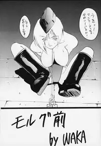 [Tail of Nearly (WAKA)] SP02 (Street Fighter)