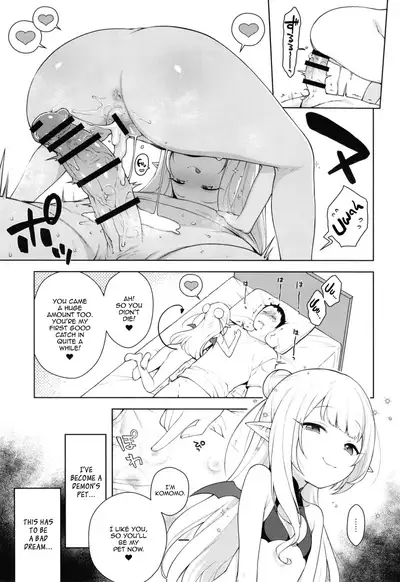 Chibi Succu Shiko Life