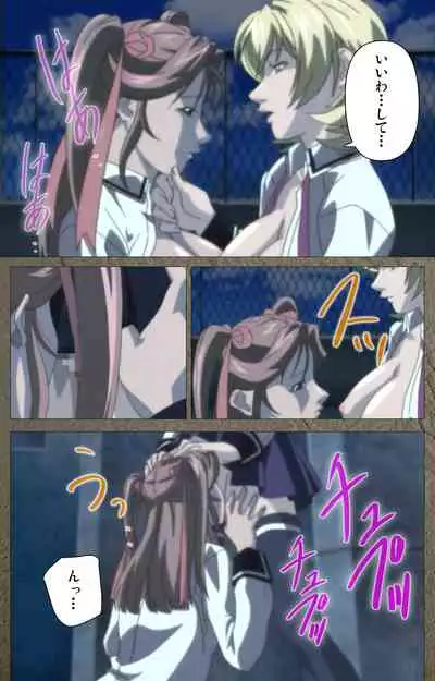 Shin Bible Black kanzenhan