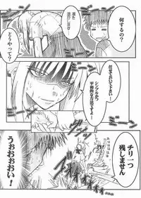 (C66) [TAROTS (Sawano Akira)] THE EMPEROR (Fate/stay night)