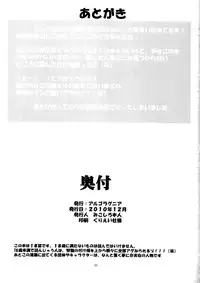 [Algolagnia (Mikoshiro Honnin)] St. Margareta Youchikuen 3