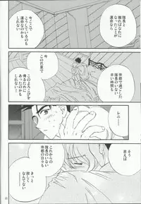 [LFM (Usagi)] Flashing Pink (Sakura Taisen)