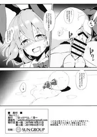 (Meikasai 13) [Hokkepen (Seiichi)] Re:Bunny (Touhou Project)