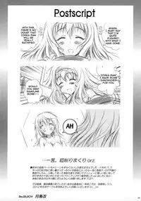 (C81) [SONIC WINTER (Tsukishima Kai)] Carol (Infinite Stratos) [English]