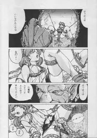 [Stadio Hose (Jun Matsui)] Borgwoman (Sonic Soldier Borgman)