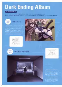 Natural 2 Duo Visual Fan Book