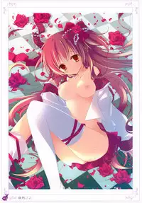 [Rabbit] habit net chronicles 2nd volume