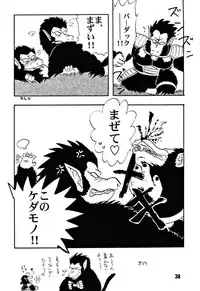 (C51) [Chirigami Goya, Fusuma go Ten (Shoji Hariko)] ZZZ (DRAGON BALL)
