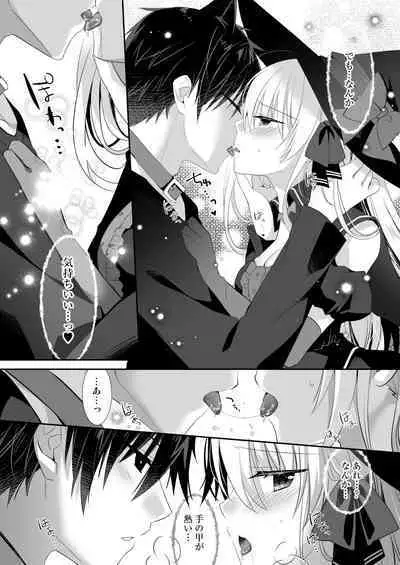 Ponkotsu Majo to Ijiwaru na Neko.