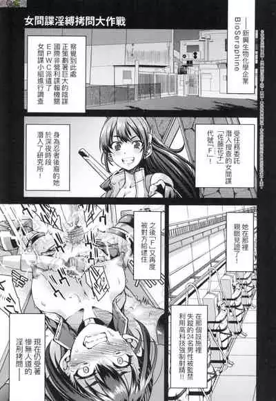 Onna supai inbaku Gōmon dai sakusen