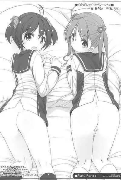 Raku Pera+ 2013-2014