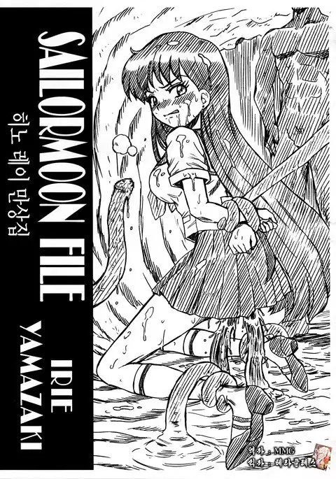 SAILORMOON FILE Hino Rei Gazoushuu