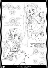 (C70) [Neko Kinryouku (NekoNeko)] NekoNeko Otona Houteishiki