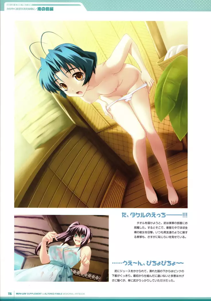Muv-Luv Supplement & Altered Fable Memorial Art Book