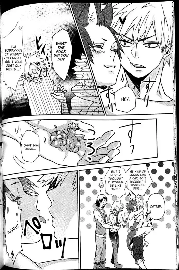 Segregated Euphoria- Boku no Hero Academia dj