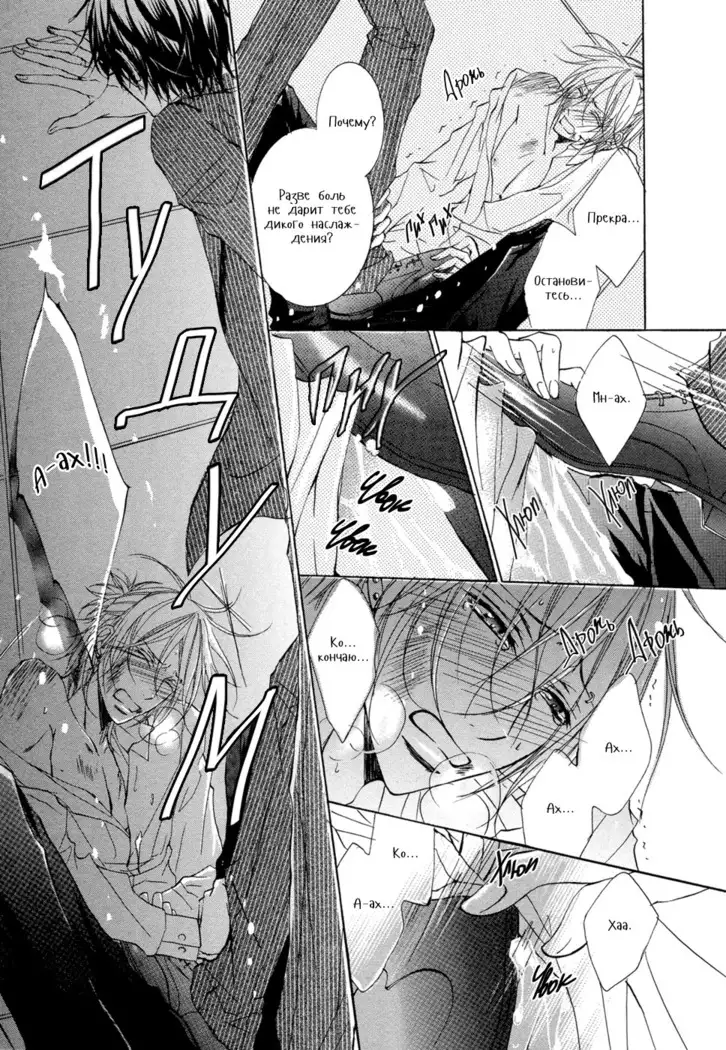 Seiai Reizoku Ecstasy