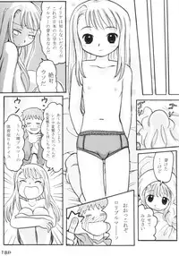 [Sweet Brier] Fate Stay Night Fan Book Vol. 1( Fate/stay night)