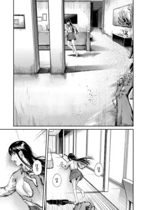 Kamen no Carnation 1-4