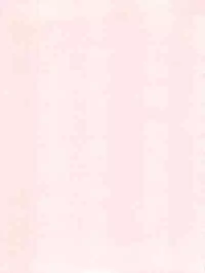 Kimi-tachi Gohoubi desu