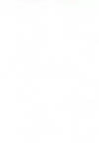 (C60) [CIRCLE FOUNDATION (Fujise Akira)] Plutinum 2 (Love Hina)