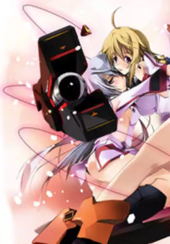 (COMIC1☆5) [RYU-SEKI-DO (Nagare Hyo-go)] LS Lovers Striker II (IS <Infinite Stratos>)