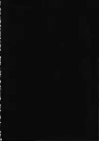 (C90) [ETC×ETC (Aiyoshi Hazuki)] FLYHIGH (Aikatsu!) [Chinese]