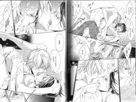 B-BOY Phoenix 13 Tenishoku Tokushū