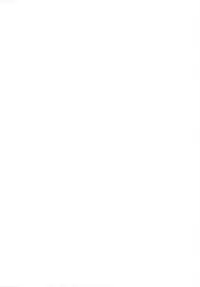 (C78) [Himeya (Abe Inori)] Saitei Rakusatsu Kakaku (Seiken Densetsu 3)