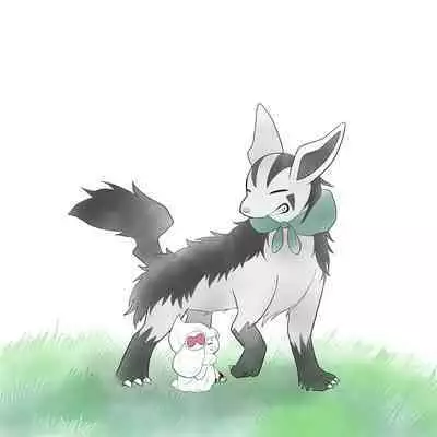 |宝可梦的故事（呜鸟木个人汉化组）